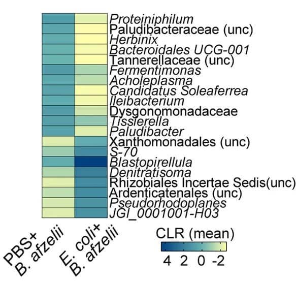 Open access visualization of Heatmap, Abundance, CLR, Taxa, Log2foldchange