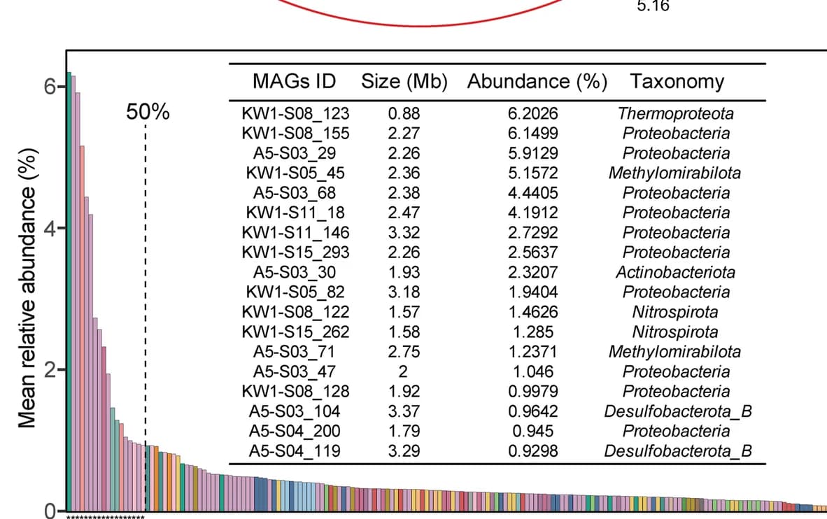 Open access visualization of Bar Plot, MAGs, Relative Abundance, Samples, Dominant MAGs