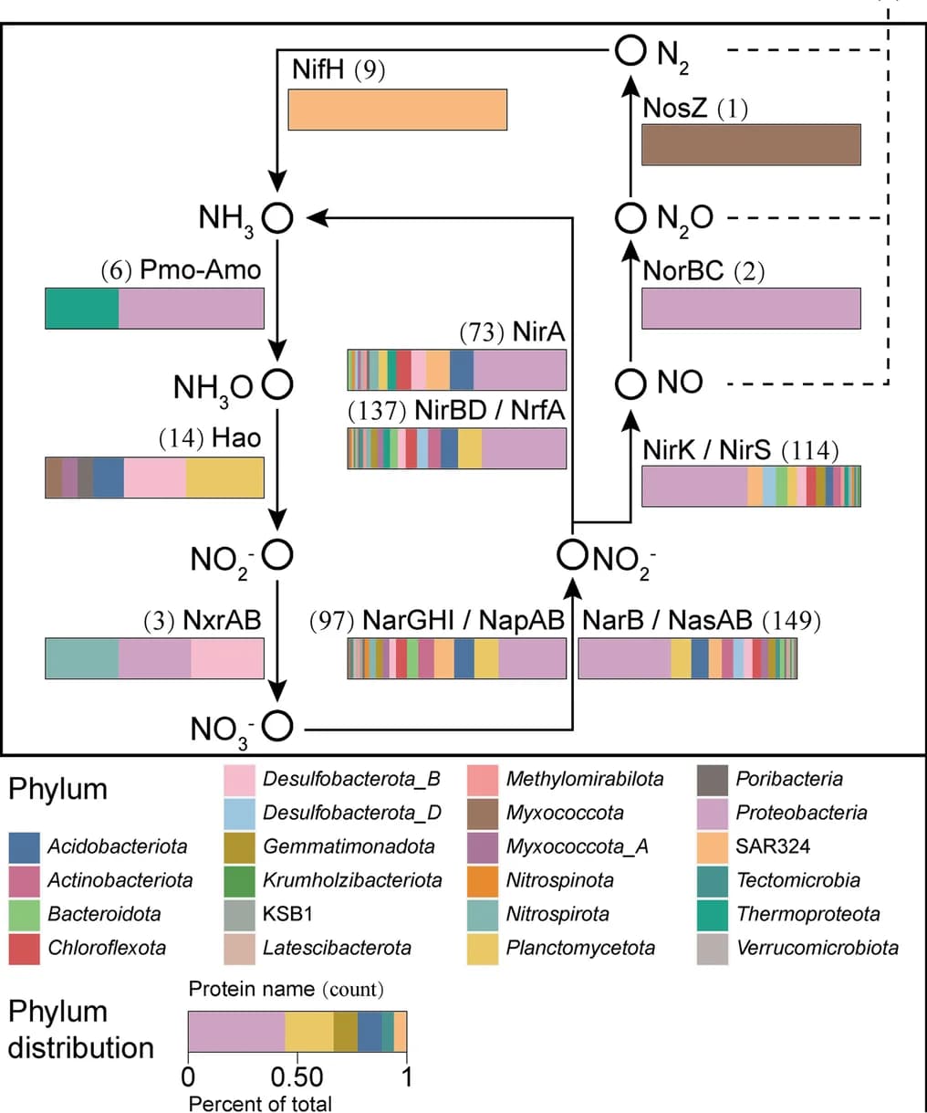 Open access visualization of Workflow, Bar Plot, Stacked Bar Plot, Nitrogen Metabolism, Sulfur Metabolism