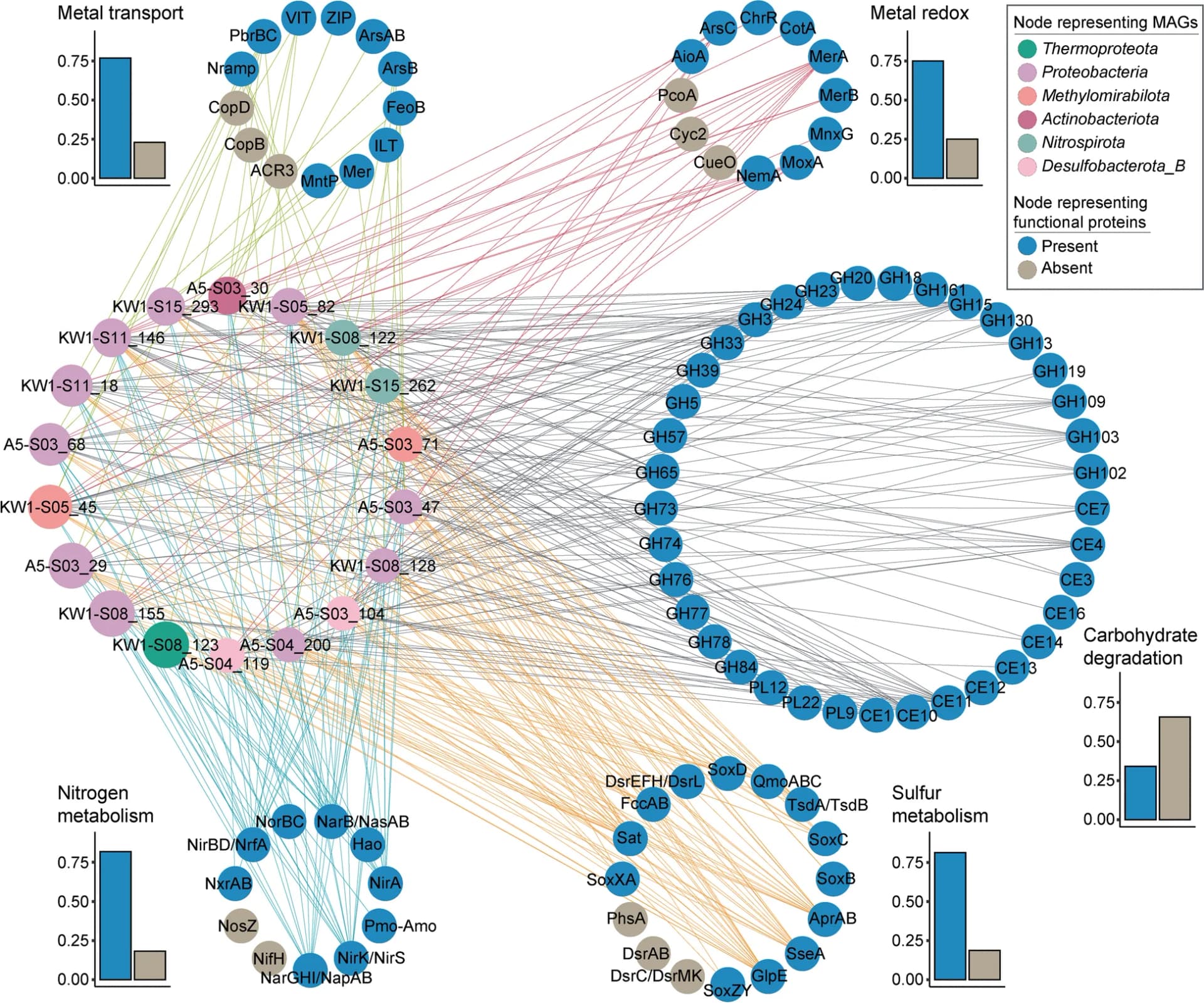 Open access visualization of Network, Pathway, Bar Plot, Metabolic Functions, Microbial Components