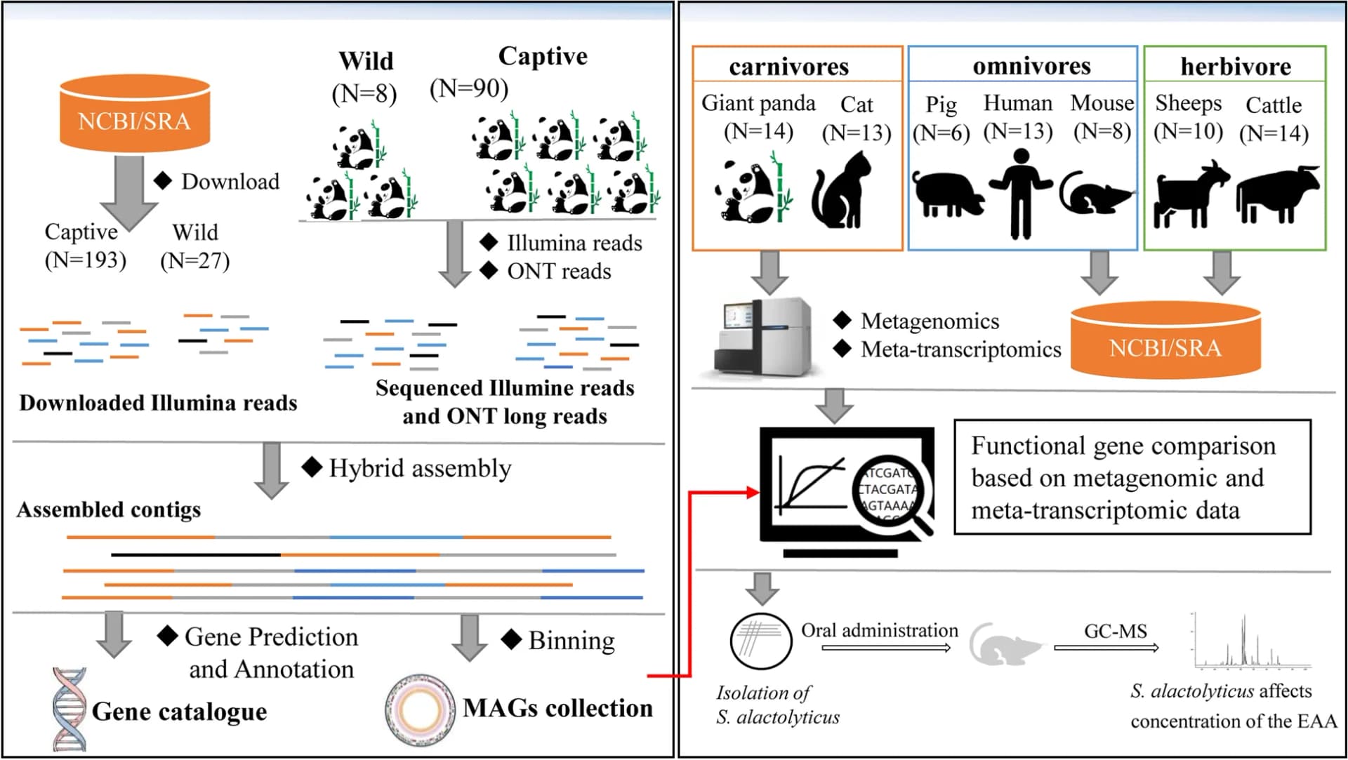 Open access visualization of Workflow, Illustration, Line Plot, Experimental Design