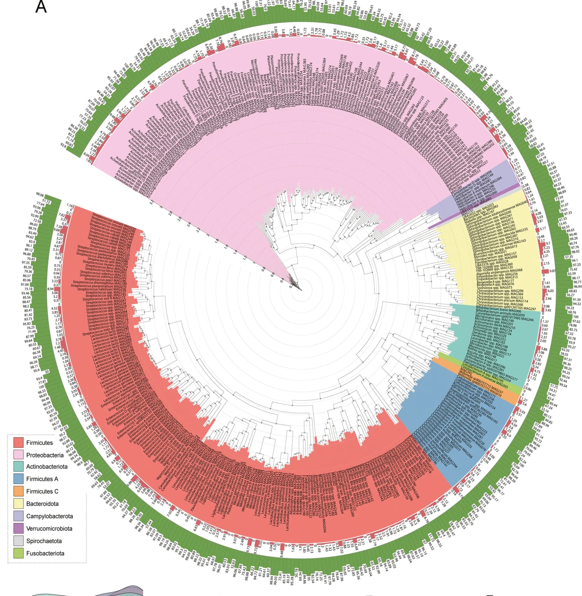 Open access visualization of Bar Plot, Completeness, Contamination, MAGs