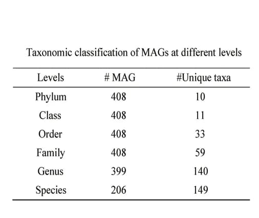 Open access visualization of Table Image, Taxonomic classification, MAGs