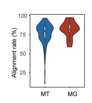 Open access visualization of Violin Plot, Alignment rate, MAGs, Metagenomic reads, Meta-transcriptomic reads