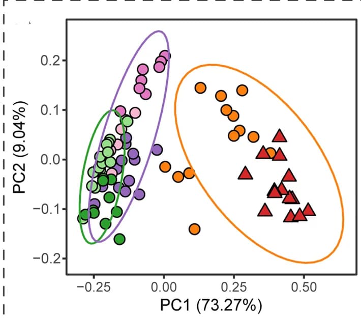 Open access visualization of Scatter Plot, PCA, Bray-Curtis Diversity, Dietary Fiber, Metabolic Enzyme