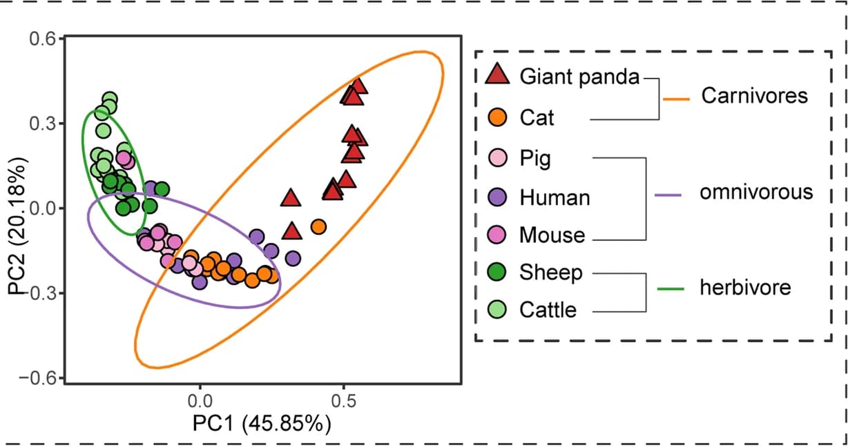 Open access visualization of Scatter Plot, PCA, Bray-Curtis Diversity, Dietary Fiber, Metabolic Enzyme