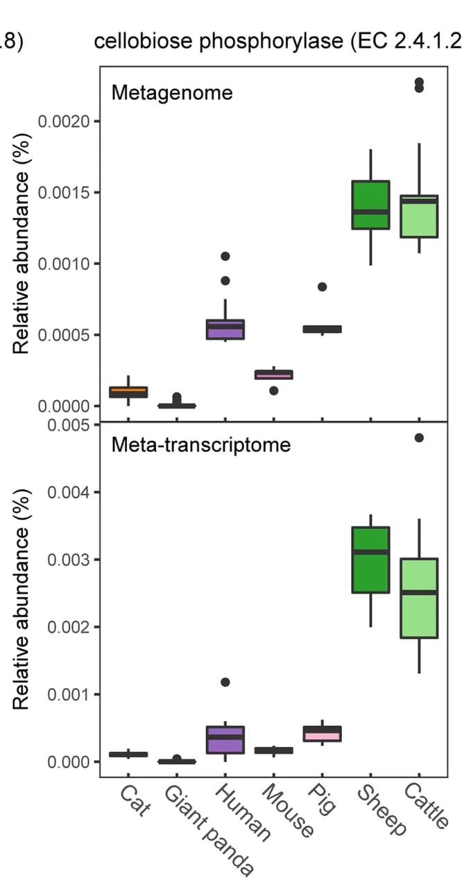 Open access visualization of Box Plot, Metagenomic Abundance, Meta-transcriptomic Expression, Cellulase Degradation, Genes