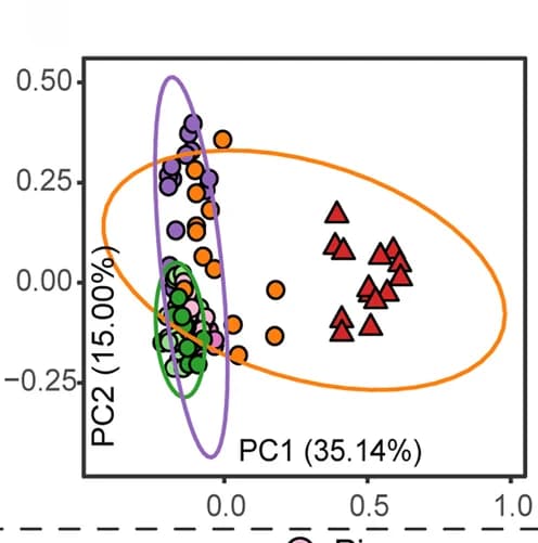Open access visualization of Scatter Plot, PCA, Gene expression, Meta-transcriptomic, Amino acid degradation