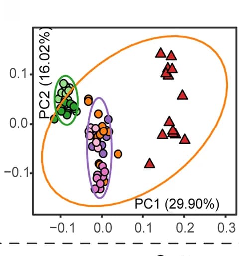 Open access visualization of Scatter Plot, PCA, Gene abundance, Metagenomic, Amino acid biosynthesis
