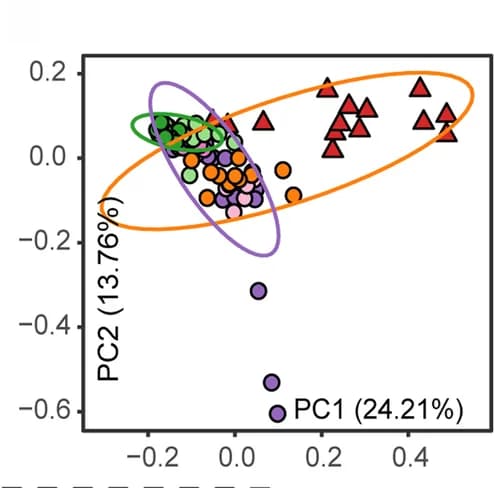 Open access visualization of Scatter Plot, PCA, Gene expression, Meta-transcriptomic, Amino acid biosynthesis