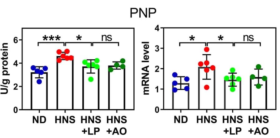 Open access visualization of Bar Plot, Error Bars, Scatter Plot, Enzymatic Activity, mRNA
