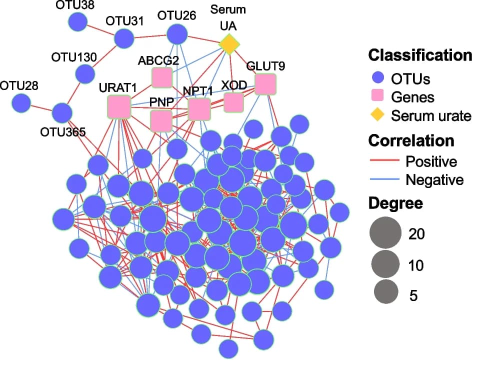 Open access visualization of Network, Pathway, L. plantarum, L. johnsonii, L. reuteri