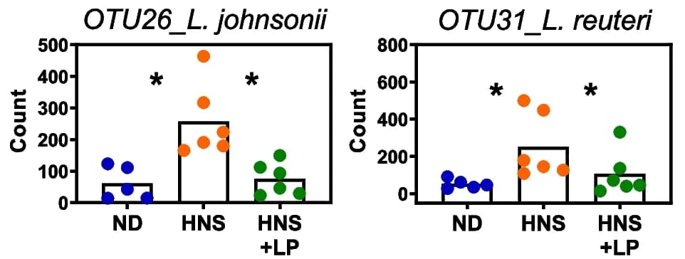 Open access visualization of Bar Plot, Scatter Plot, Lactobacillus, L. johnsonii, L. reuteri