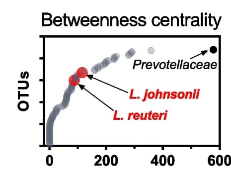 Open access visualization of Scatter Plot, Betweenness Centrality, Gut Microbiota, Urate Metabolism, Operational Taxonomic Unit (OTU)