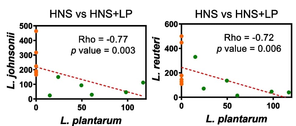 Open access visualization of Scatter Plot, Regression Plot, Correlation Analysis, Mice, L. plantarum