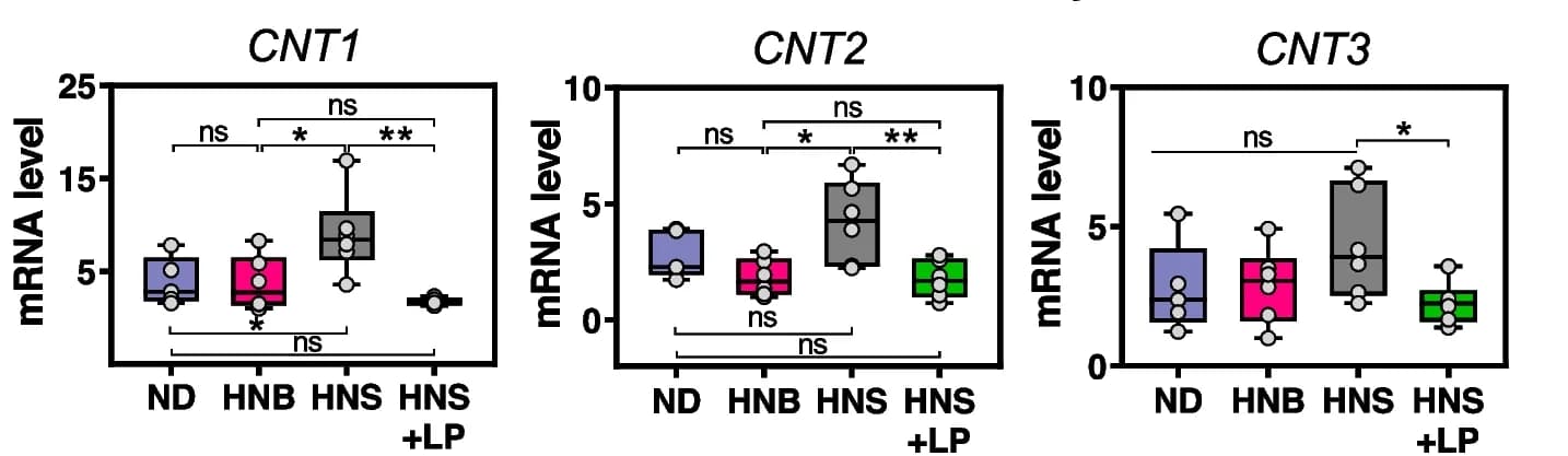 Open access visualization of Box Plot, Scatter Plot, RT-PCR, mRNA, CNT1-3
