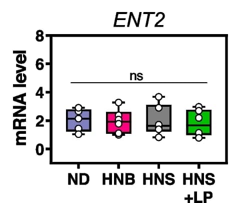 Open access visualization of Box Plot, Scatter Plot, RT-PCR, mRNA, ENT2