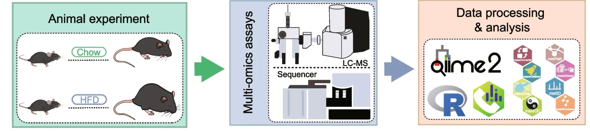 Open access visualization of Workflow, Flowchart, Illustration, Animal dietary interventions, Sample collection