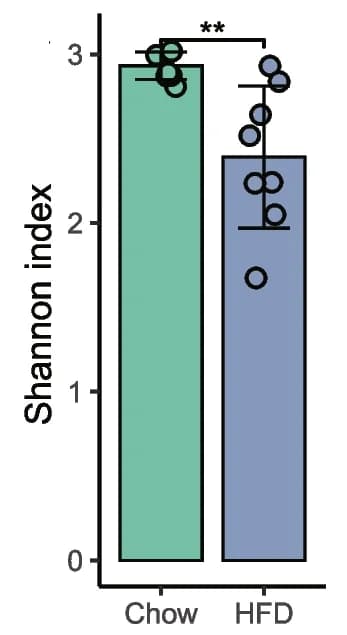 Open access visualization of Bar Plot, Error Bars, Scatter Plot, Gut bacterial alpha diversity, Shannon index