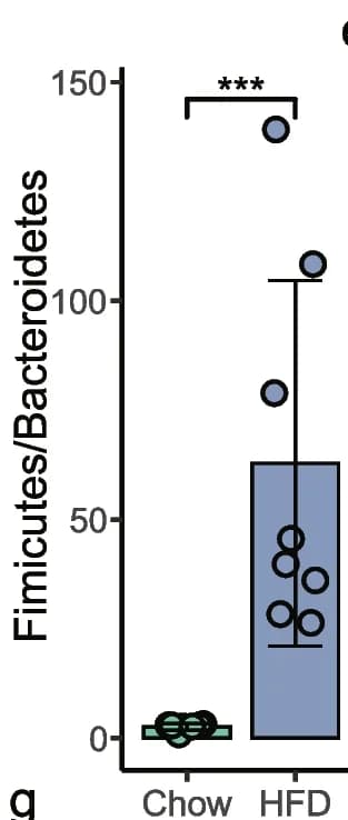 Open access visualization of Bar Plot, Scatter Plot, Error Bars, Firmicutes/Bacteroidetes ratio, Fecal microbiota