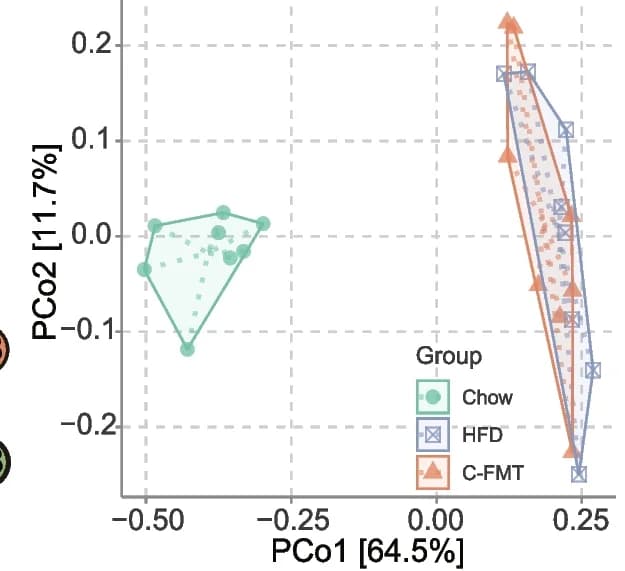 Open access visualization of Scatter Plot, PCA, PCoA, Bray-Curtis Distance, Microbiota Composition