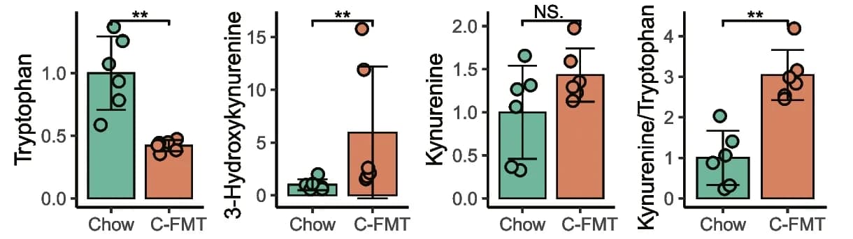 Open access visualization of Bar Plot, Error Bars, Scatter Plot, Fecal Microbiota Transplantation, HFD Mice