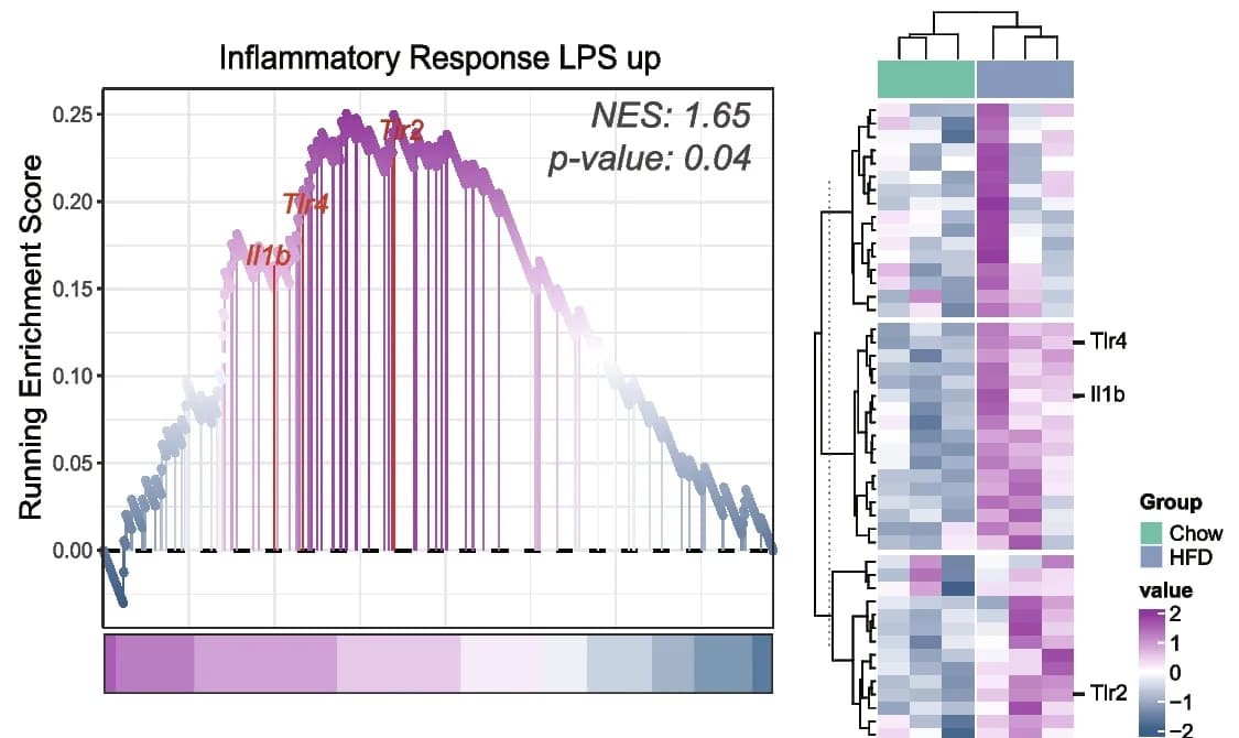 Open access visualization of Line Plot, Heatmap, Clustered, Gene Sets, Lipopolysaccharide