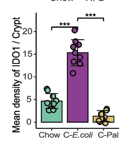 Open access visualization of Bar Plot, Scatter Plot, Indoleamine 2,3-Dioxygenase 1, IDO1, Colon