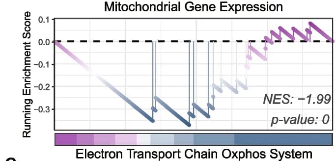 Open access visualization of Line Plot, Line Step, HFD, Mitochondrial Gene, Gene Expression