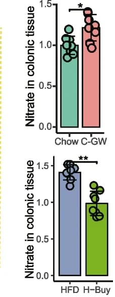 Open access visualization of Bar Plot, Scatter Plot, Error Bars, Nitrate, Colonic Tissue