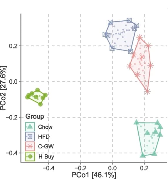 Open access visualization of Scatter Plot, PCA, PCoA, Gut Microbiota, 16S Profiling