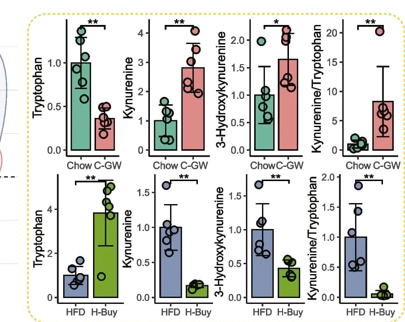 Open access visualization of Bar Plot, Error Bars, Serum Metabolites, Kyn Pathway, Chow