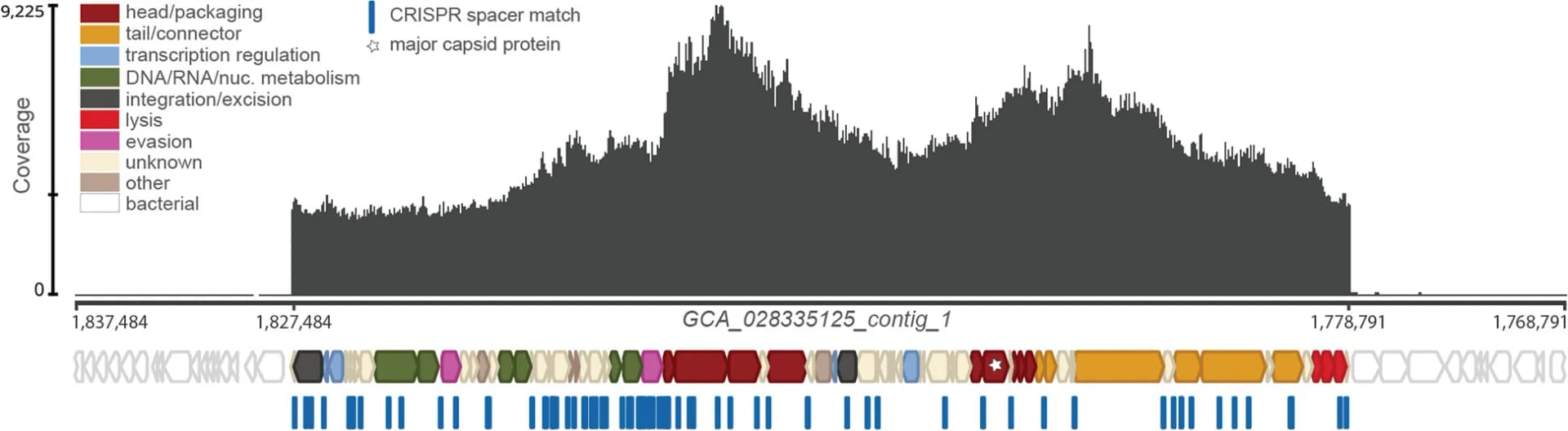 Open access visualization of Line Plot, Workflow, Phage DNA, Pg cultures, Nuclease-protected DNA