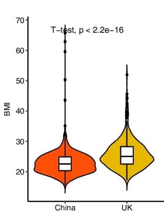 Open access visualization of Violin Plot, Box Plot, BMI, Chinese Subjects, UK Subjects