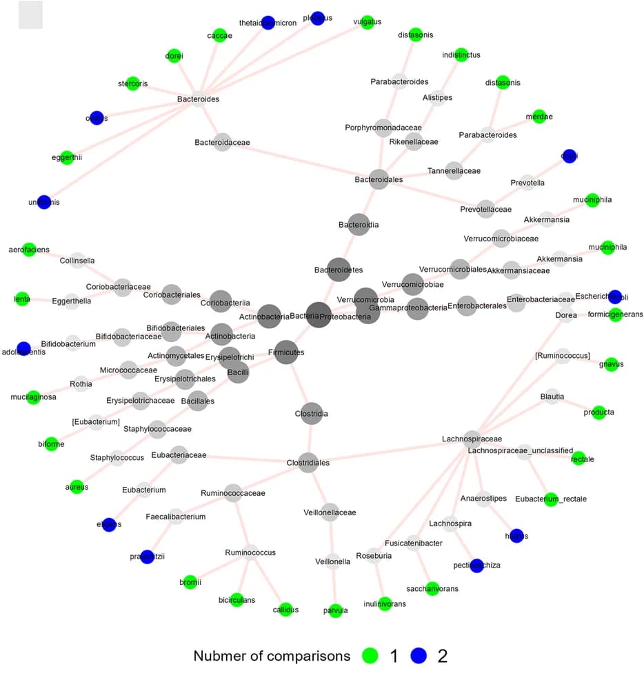 Open access visualization of Pathway, Taxonomic relationship, Species, BMI, China-USA