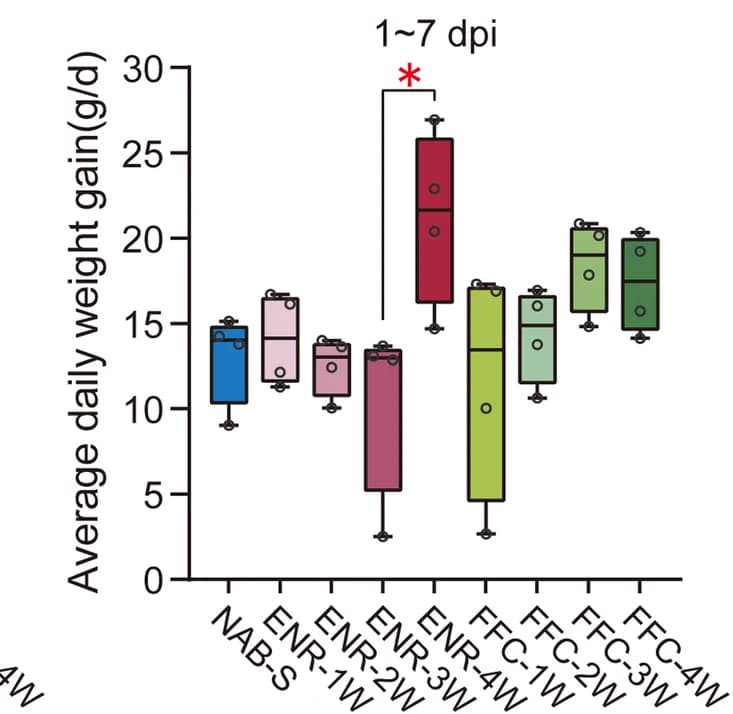 Open access visualization of Box Plot, Scatter Plot, Boxplot, Average Daily Weight Gain, H9N2 AIV Infection