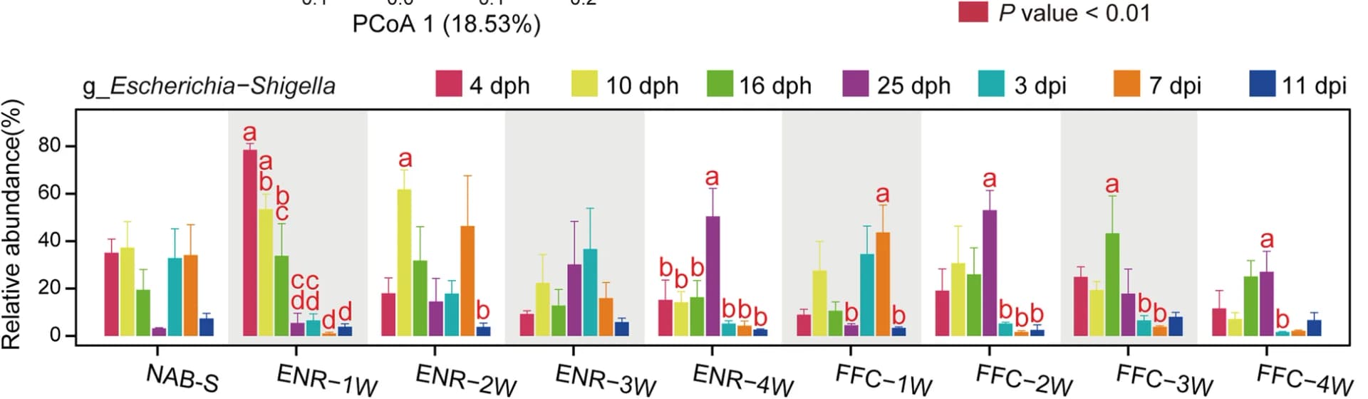 Open access visualization of Clustered, Error Bars, EscherichiaShigella, Relative Abundance, ANOVA