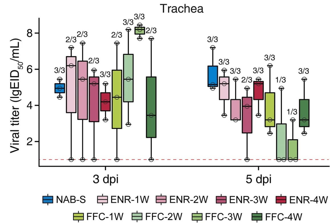 Open access visualization of Box Plot, Viral titers, Tracheal tissues, H9N2, Chickens