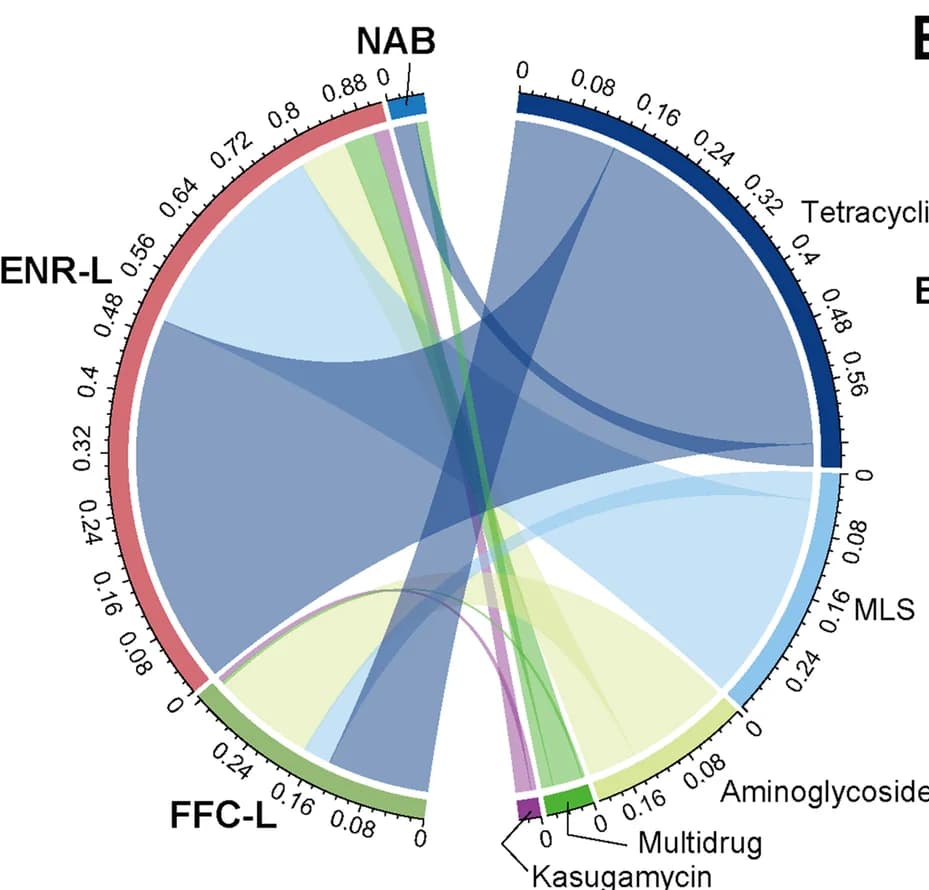 Open access visualization of Chord, Chord diagram, ARGs, Intestinal contents, LAT trials