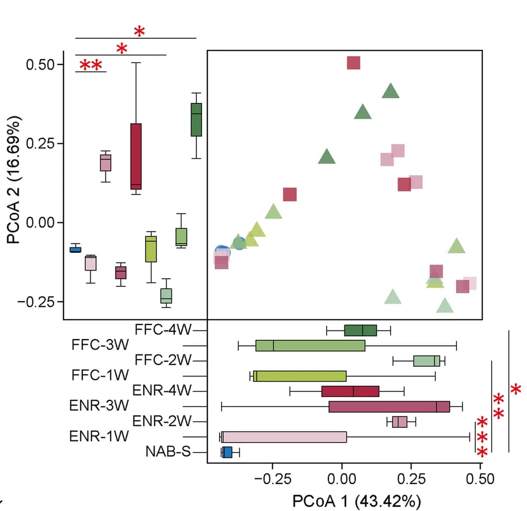 Open access visualization of Scatter Plot, Box Plot, PCoA plot, ARG communities, Cloacal swabs