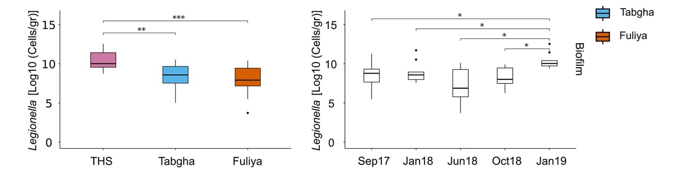 Open access visualization of Box Plot, Biofilm, Spring cluster, Collection date, Kruskal-Wallis tests