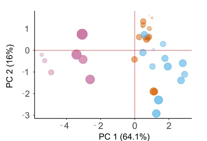 Open access visualization of Bubble Plot, PCA, Principal component analysis, Physico-chemical parameters, Spring clusters