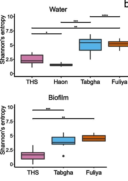 Open access visualization of Box Plot, Alpha Diversity, Legionella spp., Spring Clusters, Shannon's Entropy