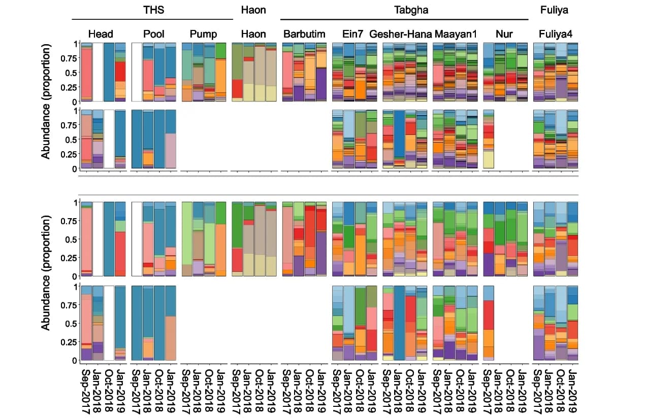 Open access visualization of Stacked Bar Plot, Relative Abundance, Legionella ASVs, Spring Clusters, Collection Dates