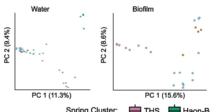 Open access visualization of Scatter Plot, PCA, Beta Diversity, Legionella spp., Microbial Population