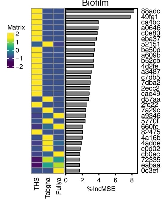 Open access visualization of Bar Plot, Heatmap, Legionella ASVs, Sodium Concentrations, Random Forest