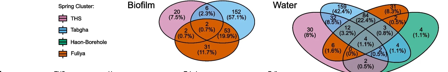 Open access visualization of Venn Diagram, ASVs, Legionella Hosts, Water, Biofilm