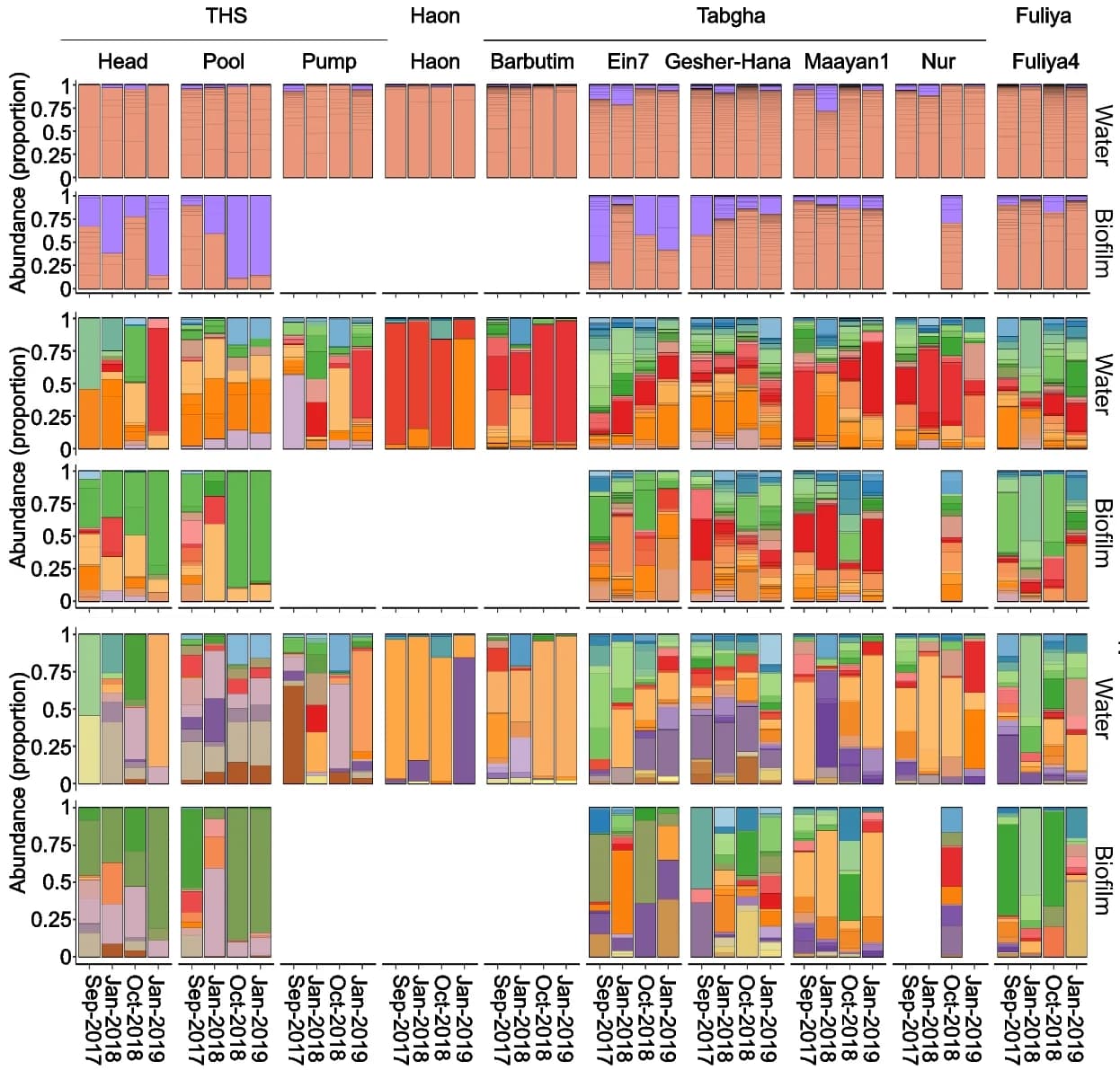 Open access visualization of Stacked Bar Plot, Relative Abundance, Legionella Hosts, ASVs, Spring Cluster