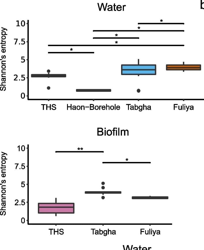 Open access visualization of Box Plot, Alpha Diversity, Legionella Hosts, Spring Clusters, Collection Dates