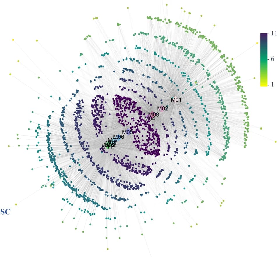 Open access visualization of Network, Pathway, Scatter Plot, Stratification, Bipartite Network Analysis